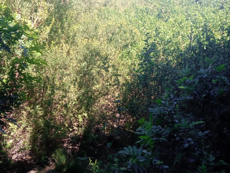 Commercial Property for Sale in Paradise Beach Eastern Cape